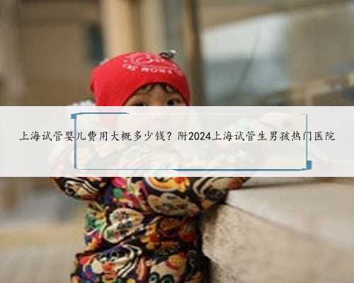 上海试管婴儿费用大概多少钱？附2024上海试管生